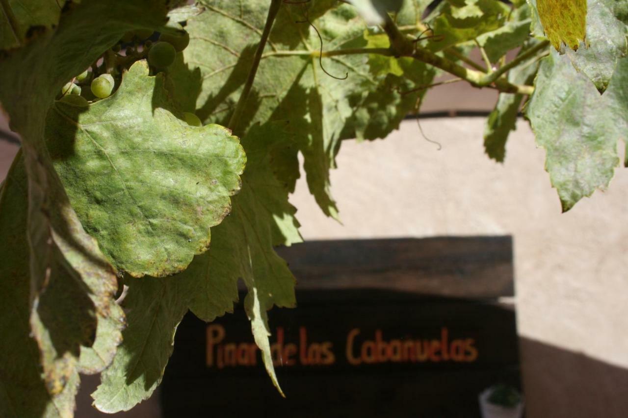 Pinar De Las Cabanuelas Villanueva de Duero المظهر الخارجي الصورة