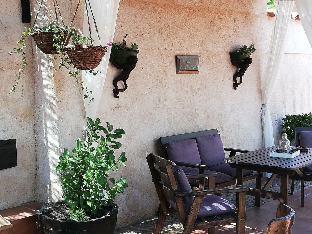 Pinar De Las Cabanuelas Villanueva de Duero المظهر الخارجي الصورة
