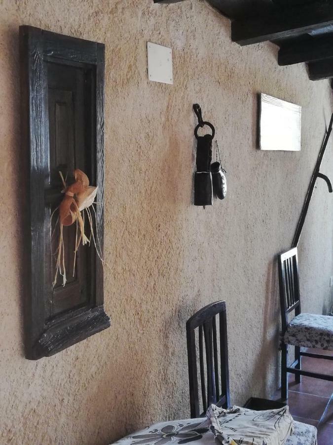 Pinar De Las Cabanuelas Villanueva de Duero المظهر الخارجي الصورة